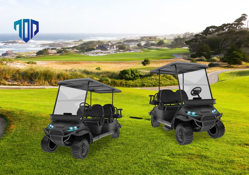 China TOP GOLF CO.,LTD company profile