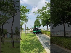 Electric Golf Cart