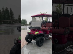 6 Seater Golf Cart