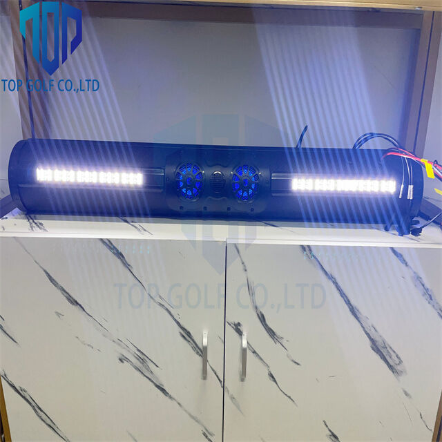 Hot Sale Audio Quality and a Sleek Look Golf Cart 18