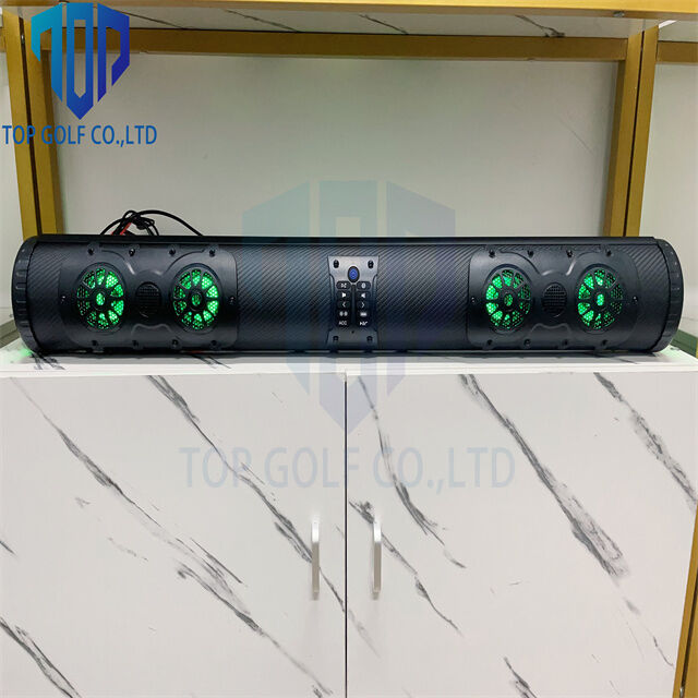 Hot Sale Audio Quality and a Sleek Look Golf Cart 18